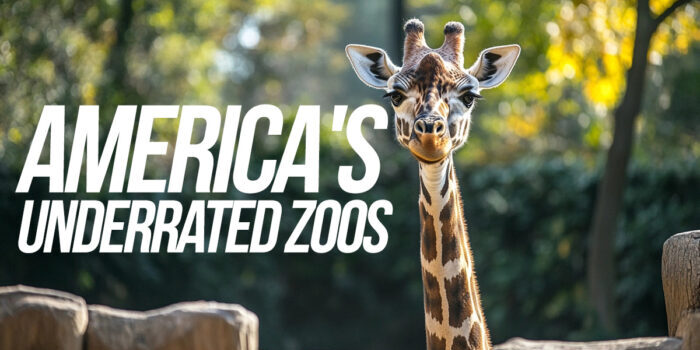 FUN-America's Underrated Zoos