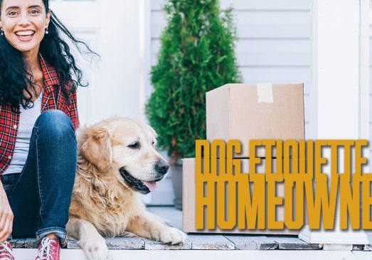Home-Dog Etiquette for Homeowners