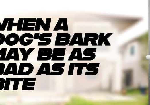 Home-When-a-Dogs-Bark-May-Be-As-Bad-As-Its-Bite_