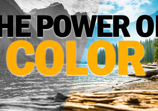 LIFE- The Power of Color